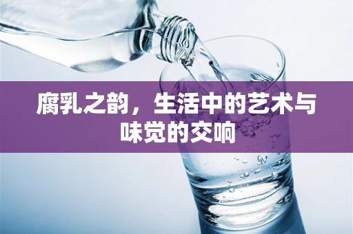 腐乳之韵，生活中的艺术与味觉的交响